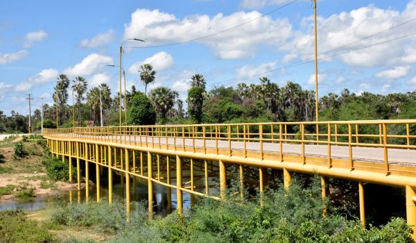 Ponte Galego de Albinha 3